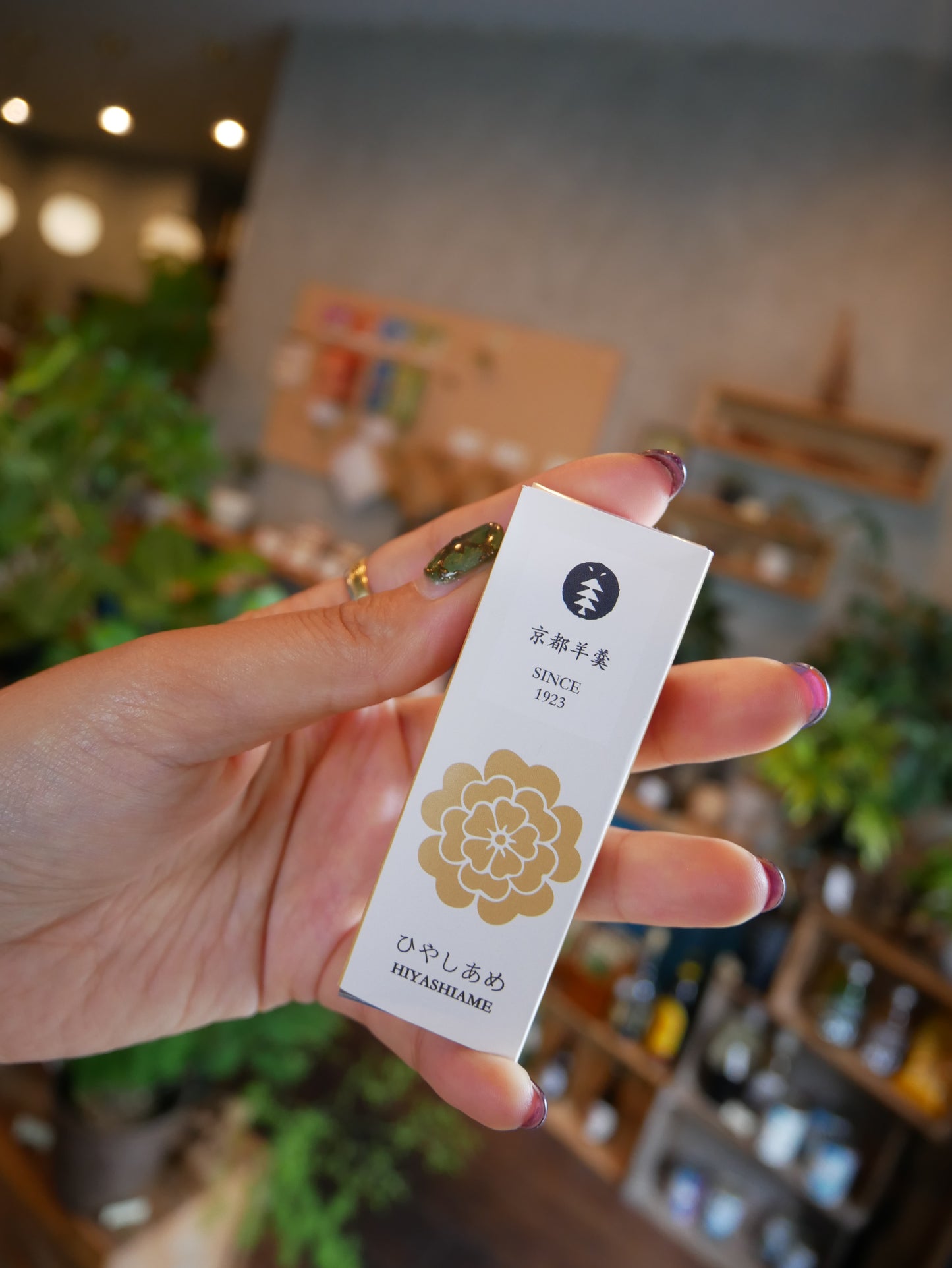 京都羊羹 チョコレート